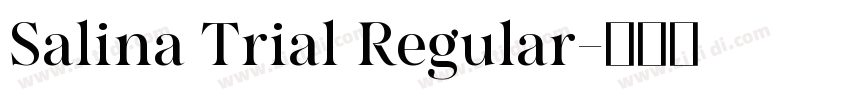 Salina Trial Regular字体转换